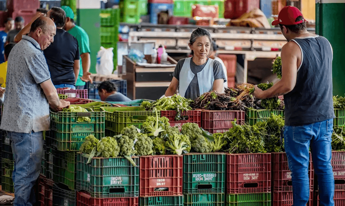preços dos alimentos caem novamente 